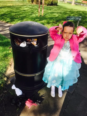 Litter bins