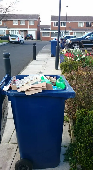 Newcastle bins crisis