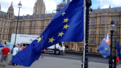 EU Brexit protest Parliament