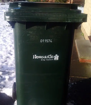 Snow bin